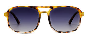 Peepers Eyewear Zeke Tokyo Tort / Chai Tort Polarized Sunglasses